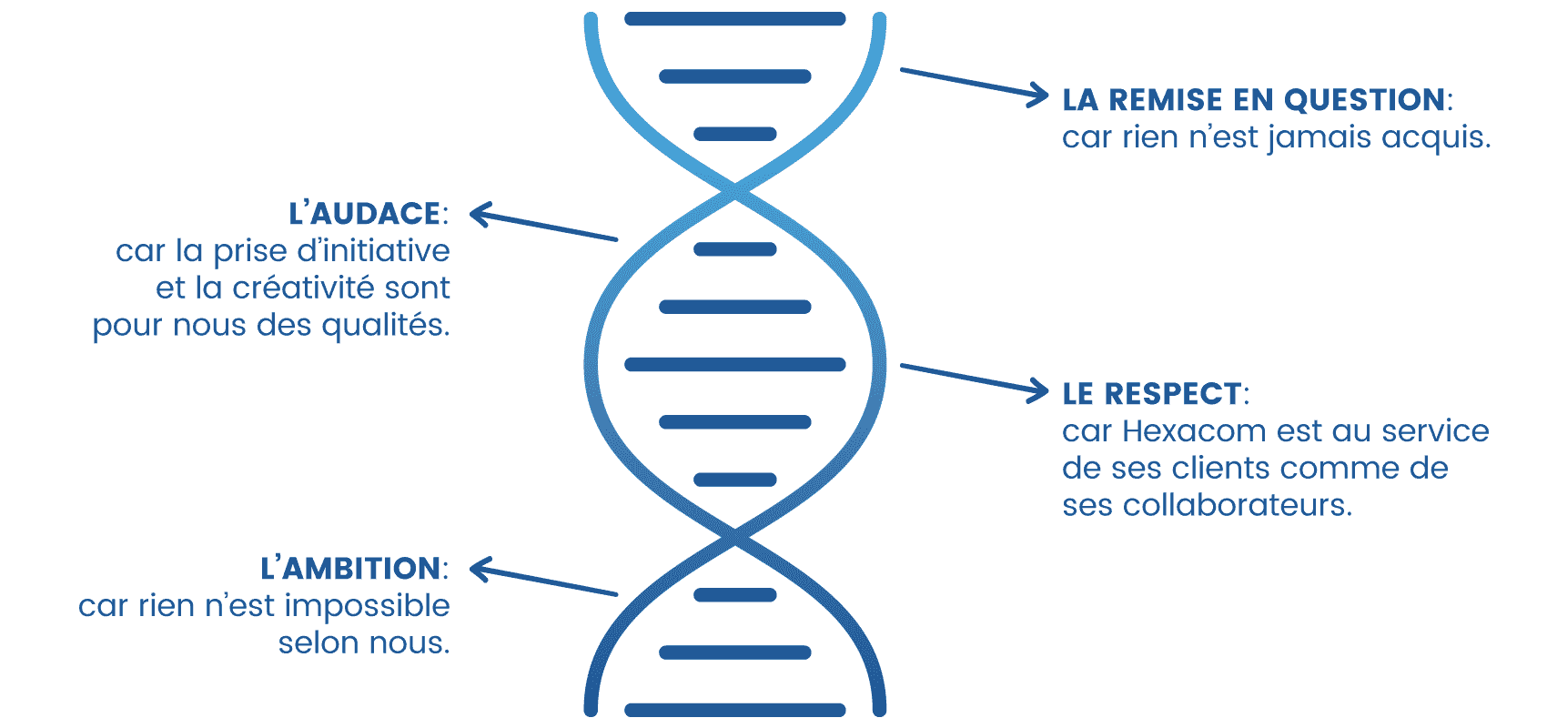 Hexacom notre ADN